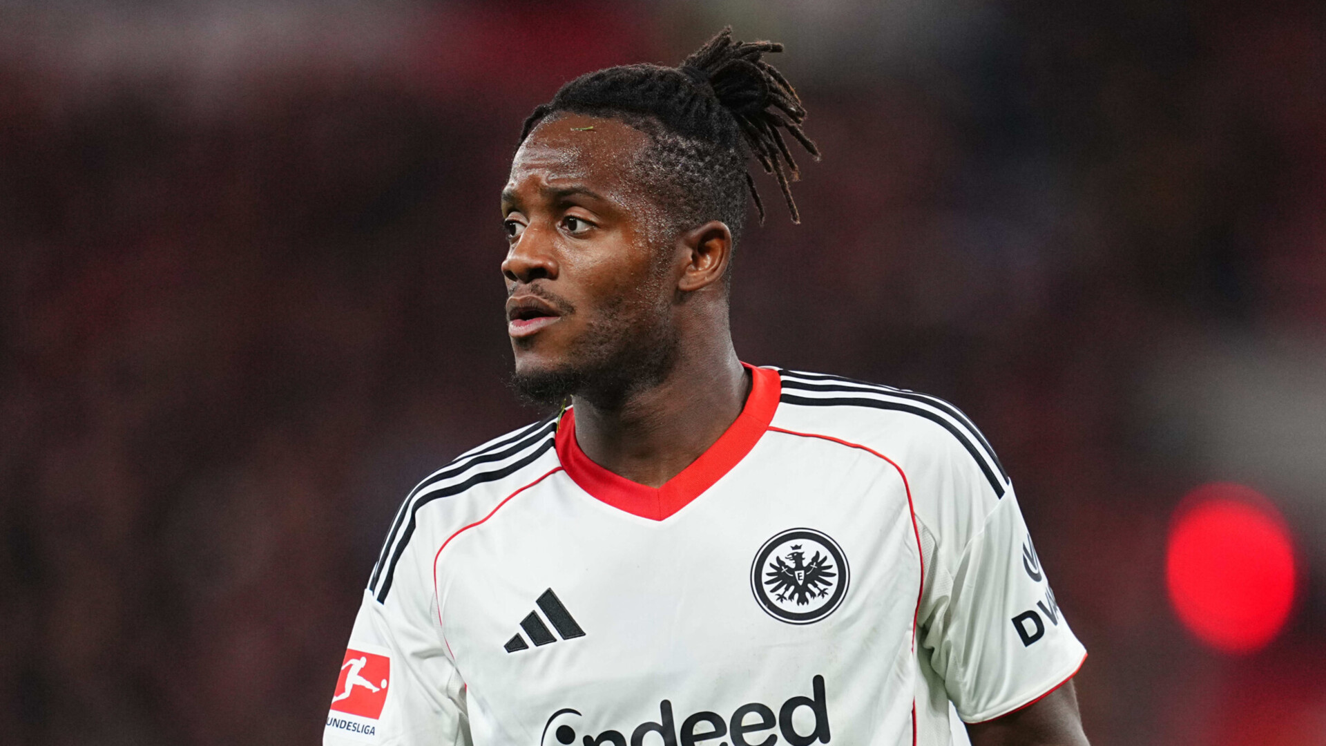 Бывший футболист &laquo;Челси&raquo; объявил о поиске донора крови для своего кота